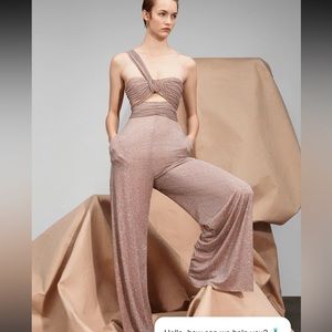 Maria Lucian Hohan Jumpsuit
